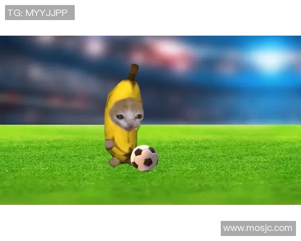 足球明星素猫画展现球场魅力与猫咪灵动结合的奇妙艺术之旅 足球明星素猫画展现球场魅力与猫咪灵动结合的奇妙艺术之旅