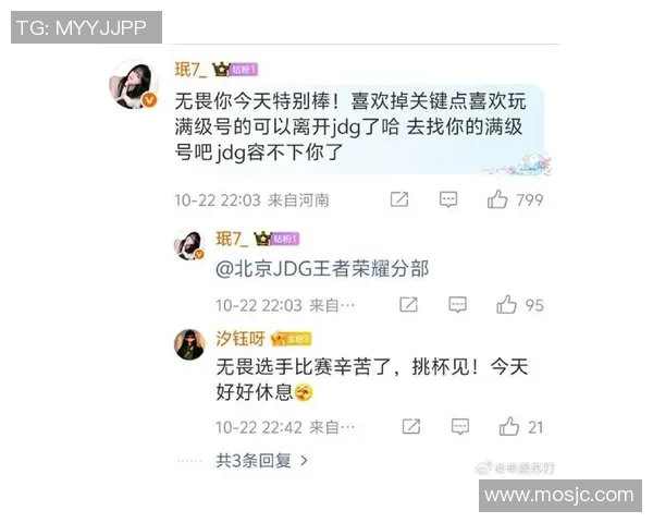 王者荣耀巨献：探秘JDG的配合