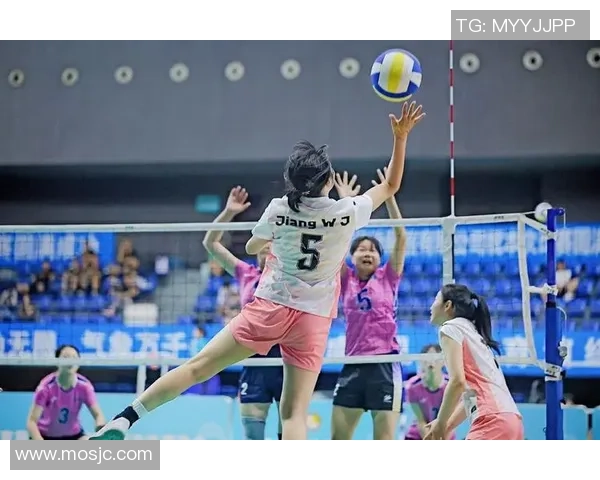 数据分析：成都排球队的技术表现