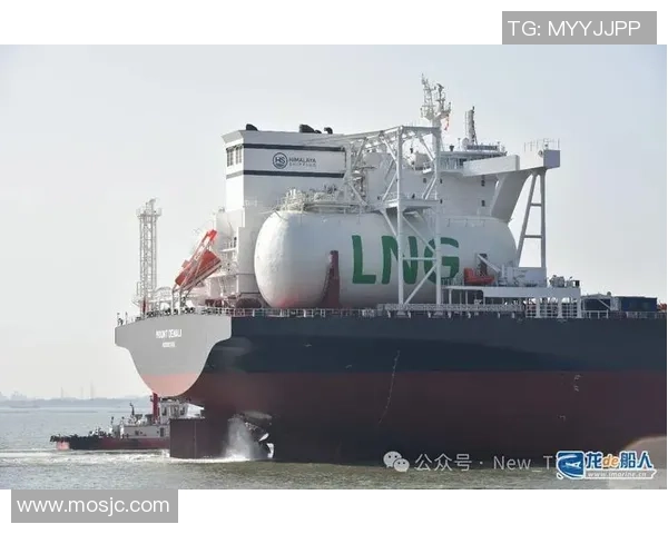 2026DOTA2速度排行榜：LNG位居第10名